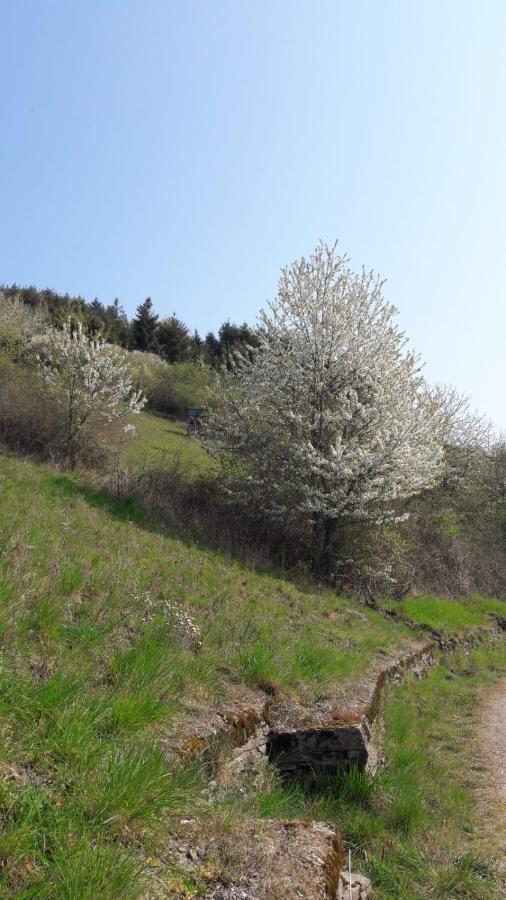 Landgasthof Simon